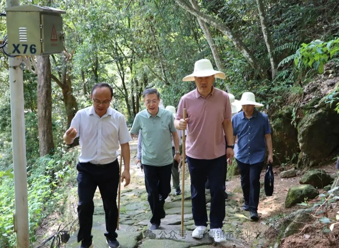 张龙调研高岭瓷土矿片区文化遗产