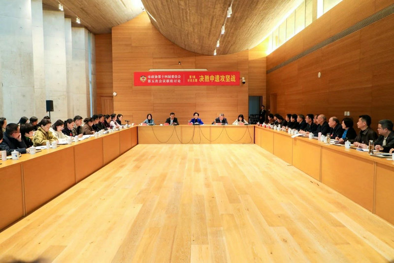胡雪梅参加市政协界别联组讨论