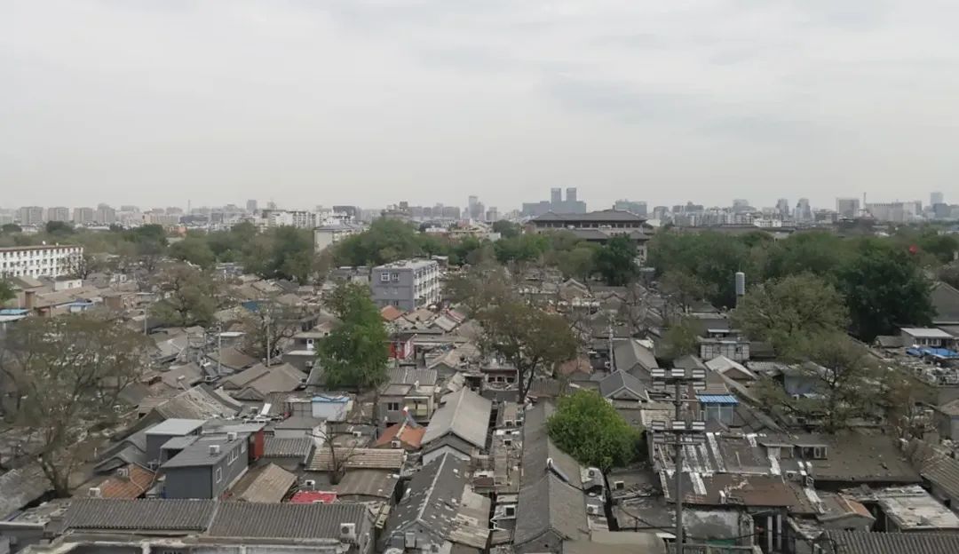 叶楠：景德镇是中国文明的符号