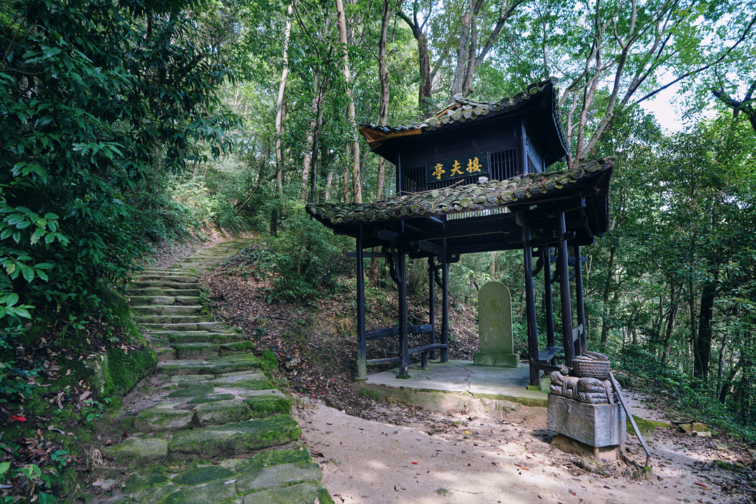 历史文化知识：高岭瓷土矿遗址